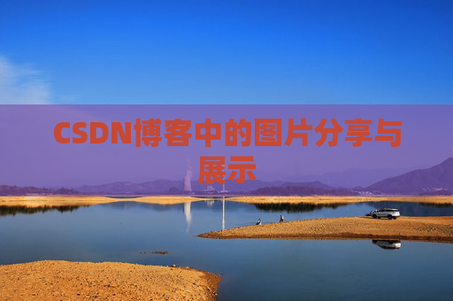 CSDN博客中的图片分享与展示